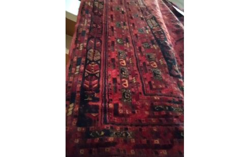 TAPIS 250 X 350 SAINT MACLOU BOUKHARA