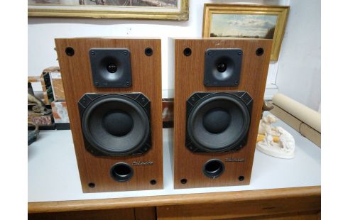 ENCEINTE CABASSE PRAO LA PAIRE