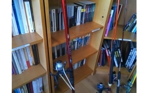 CANNE A PECHE PLASMA 3504 AVEC MOULINET