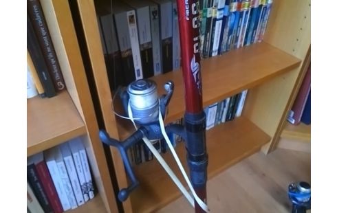 CANNE A PECHE PLASMA 3504 AVEC MOULINET