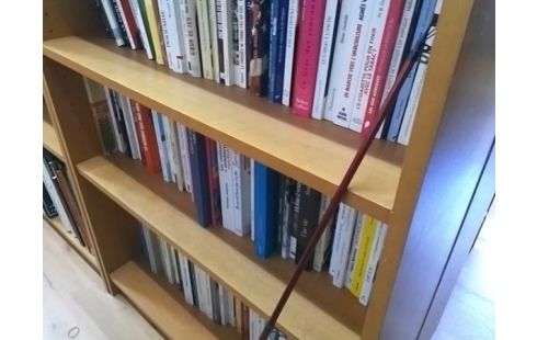 CANNE A PECHE ROUGE AVEC MOULINET