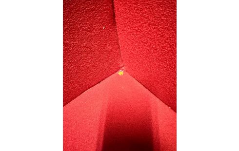 PAIRE DE FAUTEUILS ARTIFORT ROUGE