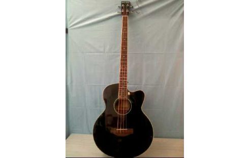 GUITARE BASSE