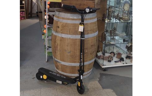 TROTTINETTE ELECTRIQUE + ACC