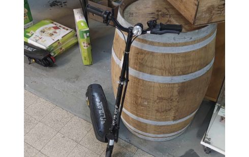 TROTTINETTE ELECTRIQUE + ACC