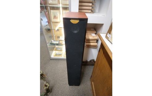 ENCEINTE TRIANGLE ANTAL ESW