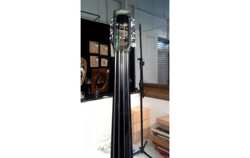 CONTREBASSE STAGG ELECTRIQUE