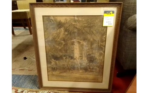 FUSAIN ENTREE DE PARC PAR R.F