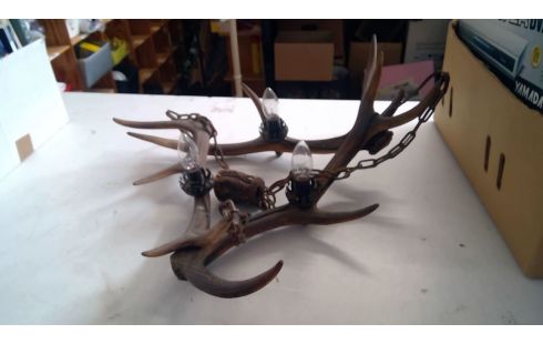 ARAÑA, , CORNAMENTA DE CIERVO