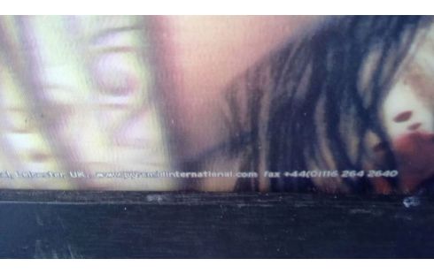 HOLOGRAM VICTORIA FRANCES PYRAMID