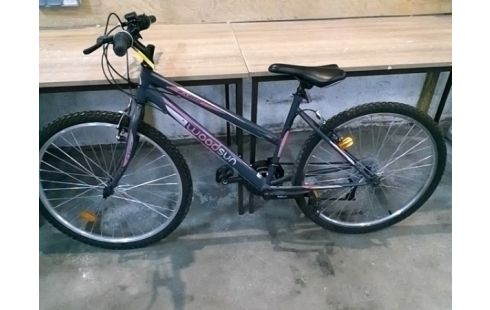 VELO WOODSUN GRIS & ROSE