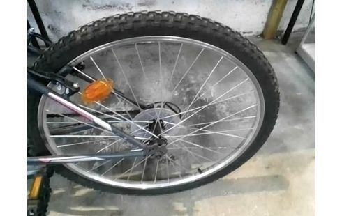 VELO WOODSUN GRIS & ROSE