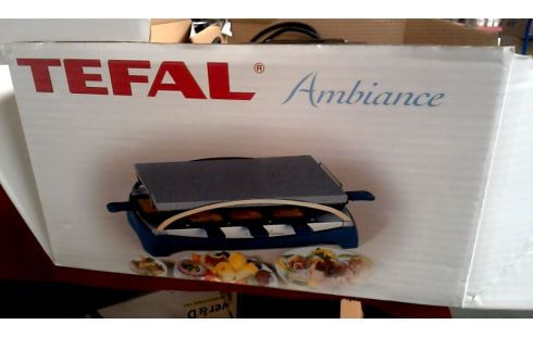 STEINGRILL TEFAL