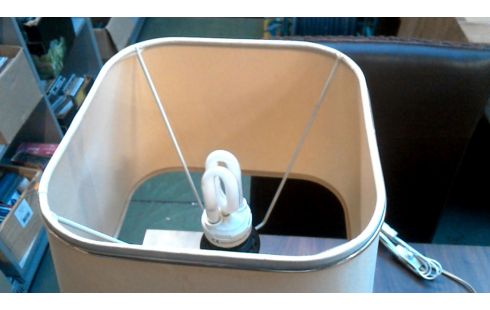 FAROL 2, , PATO COBRE AÑADA