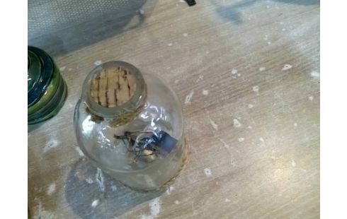 BOUTEILLE DECO BATEAU