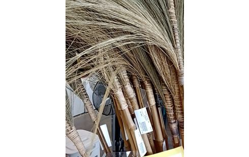 FLEUR SECHEE DE ROSEAUX