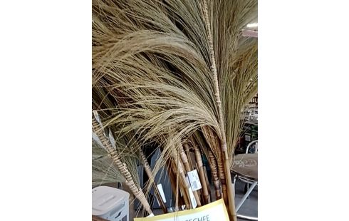 FLEUR SECHEE DE ROSEAUX