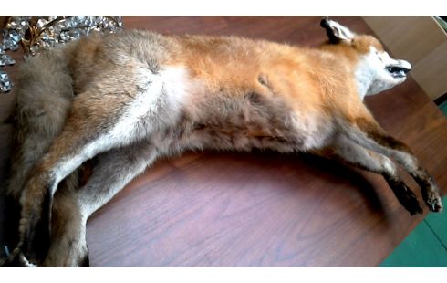 OBJET DECO, , RENARD