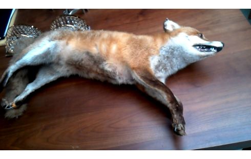 OBJET DECO, , RENARD