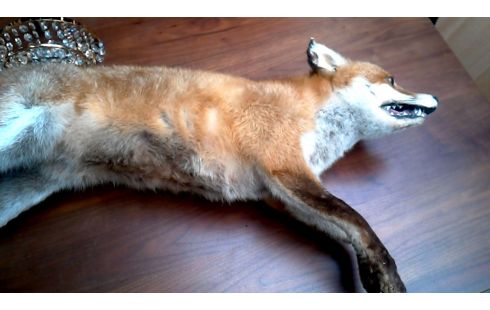 OBJET DECO, , RENARD