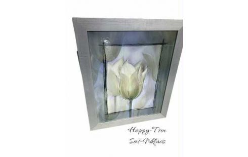 REPRODUCCIÓN TULIPÁN