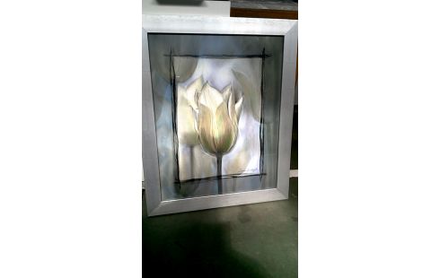 REPRODUCCIÓN TULIPÁN