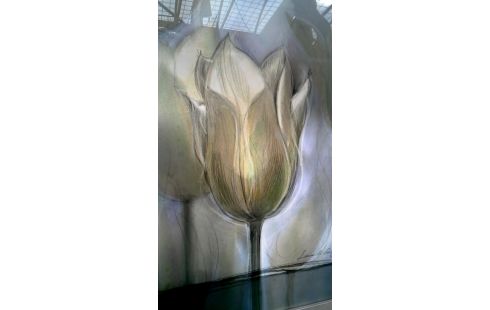 REPRODUCCIÓN TULIPÁN