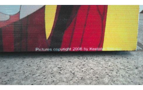 TABLEAU POP ART REPRO KEETAT