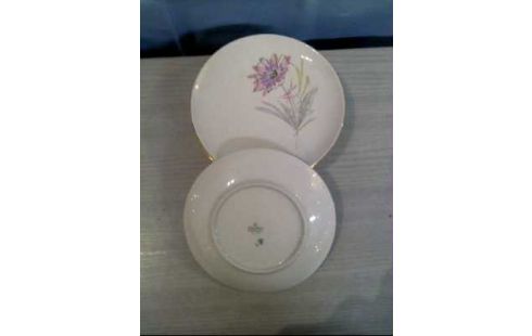 TELLER 6-TEILIG FLORAL <BAREUTHER-WALDSASSEN>