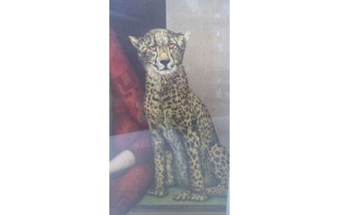 KADER VAN TURENHOUT JEF