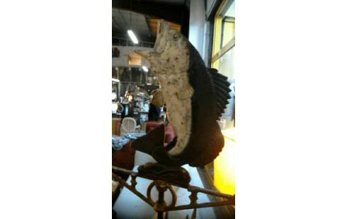 GIROUETTE POISSON ROBBINS