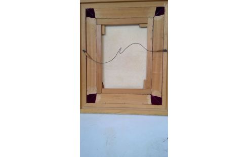 KADER BLOEMEN GESIGNEERD OP DOEK