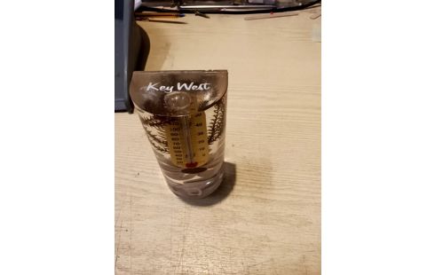 THERMOMETRE INCLUSIONS