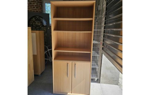 BIBLIOTHEQUE 2 PORTES