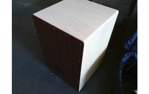 INSTRUMENT DE MUSIQUE CANJON AVEC HOUSSE