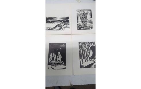 LINOS 24 FRANS DE BLAUWE