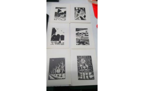 LINOS 24 FRANS DE BLAUWE