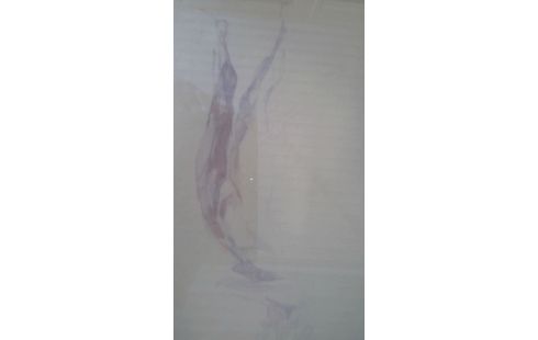 TEKENING FRIEDA MAES