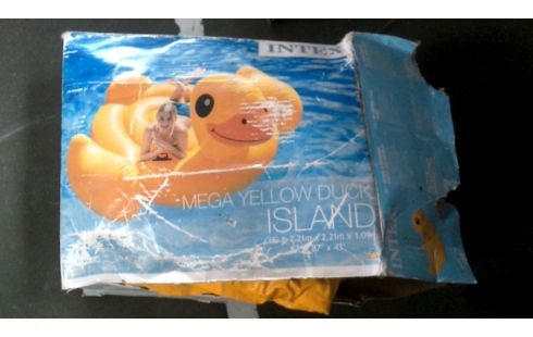 PISCINE, , CANARD GRAND