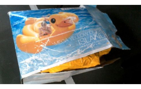 PISCINE, , CANARD GRAND