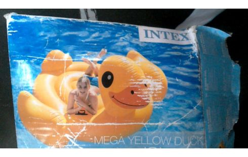 PISCINE, , CANARD GRAND