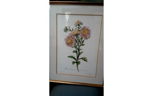 KADER BLOEMEN PER STUK