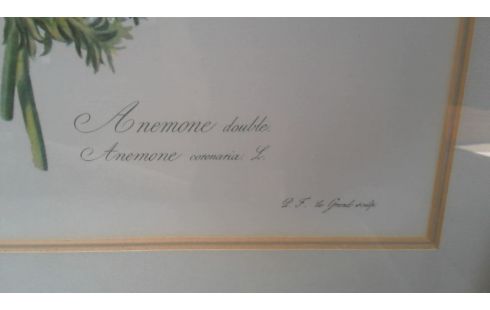 KADER BLOEMEN PER STUK