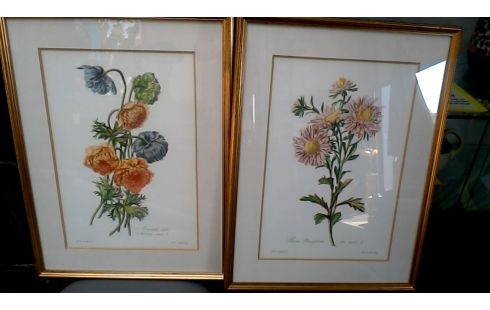 KADER BLOEMEN PER STUK