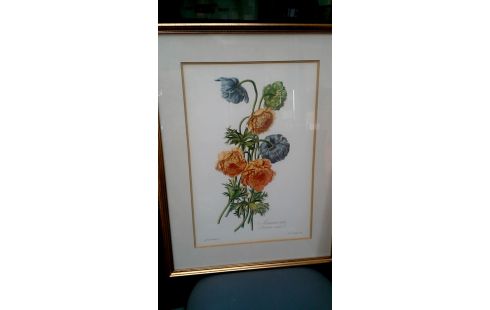 KADER BLOEMEN PER STUK