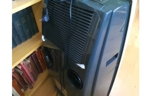 CLIMATISEUR DELONGHI PINGUINO PAC L35