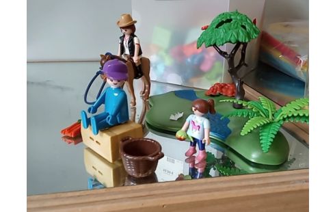 PLAYMOBIL RIVIERE CHEVAL