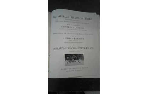 LIBRO ANTIGUO BROCHE