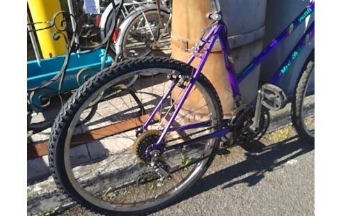VELO VIOLET MASTERBIKE