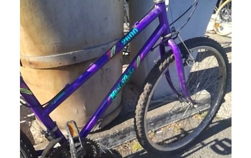 VELO VIOLET MASTERBIKE